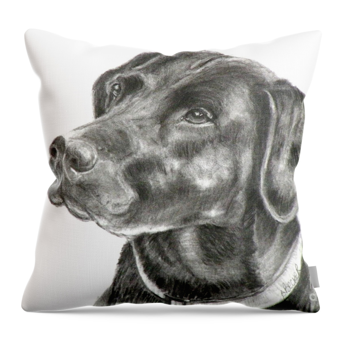Black Lab Throw Pillow featuring the painting Lab Charcoal Drawing by Susan A Becker