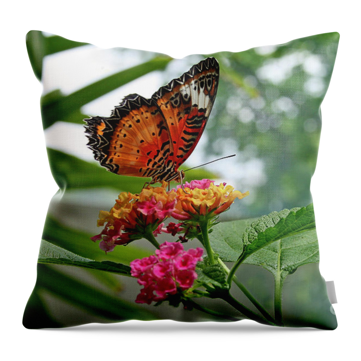 Butterfly Throw Pillow featuring the photograph Lacewing Butterfly by Karen Adams