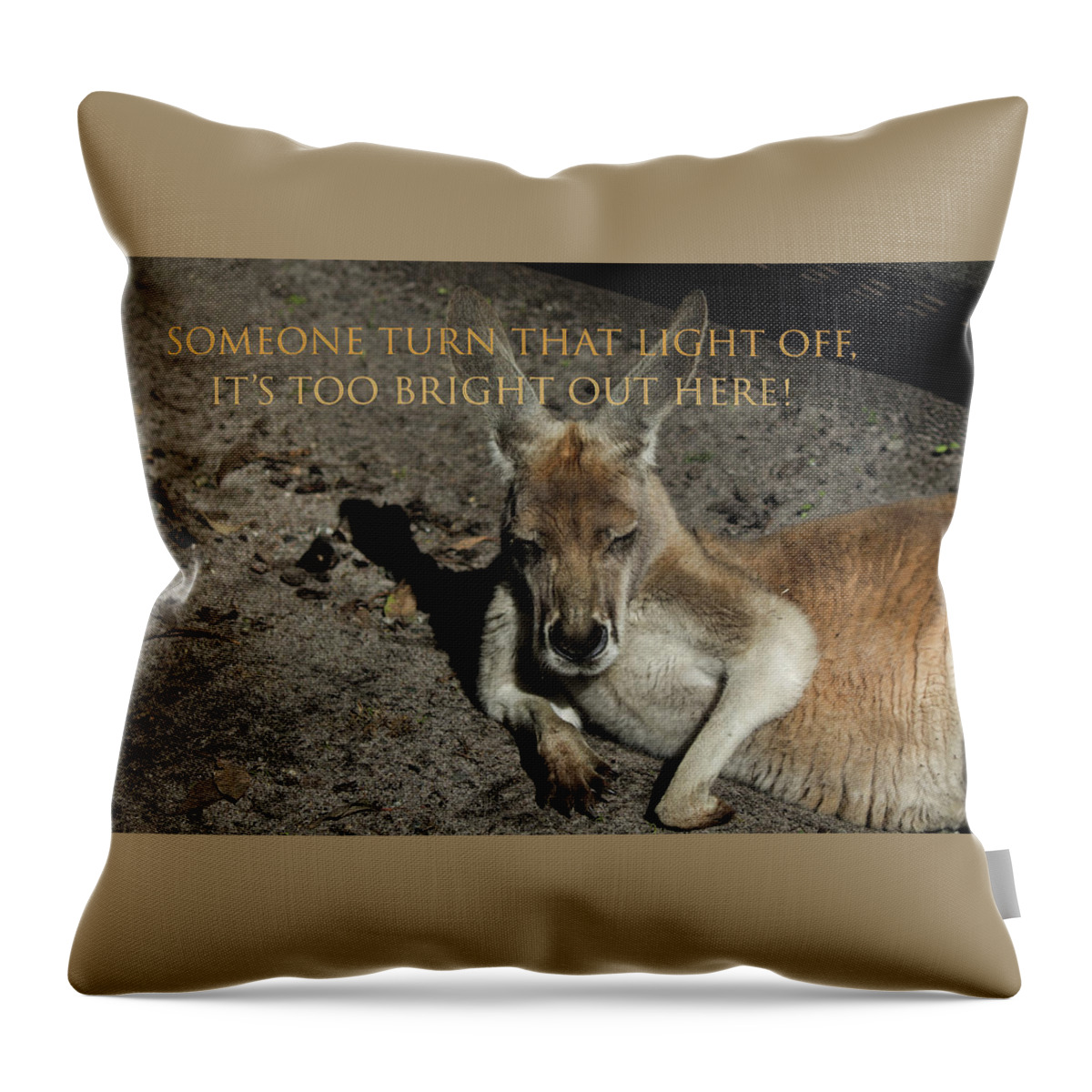 Kangaroo Throw Pillow featuring the photograph Lack Of Sleep by Tania Read