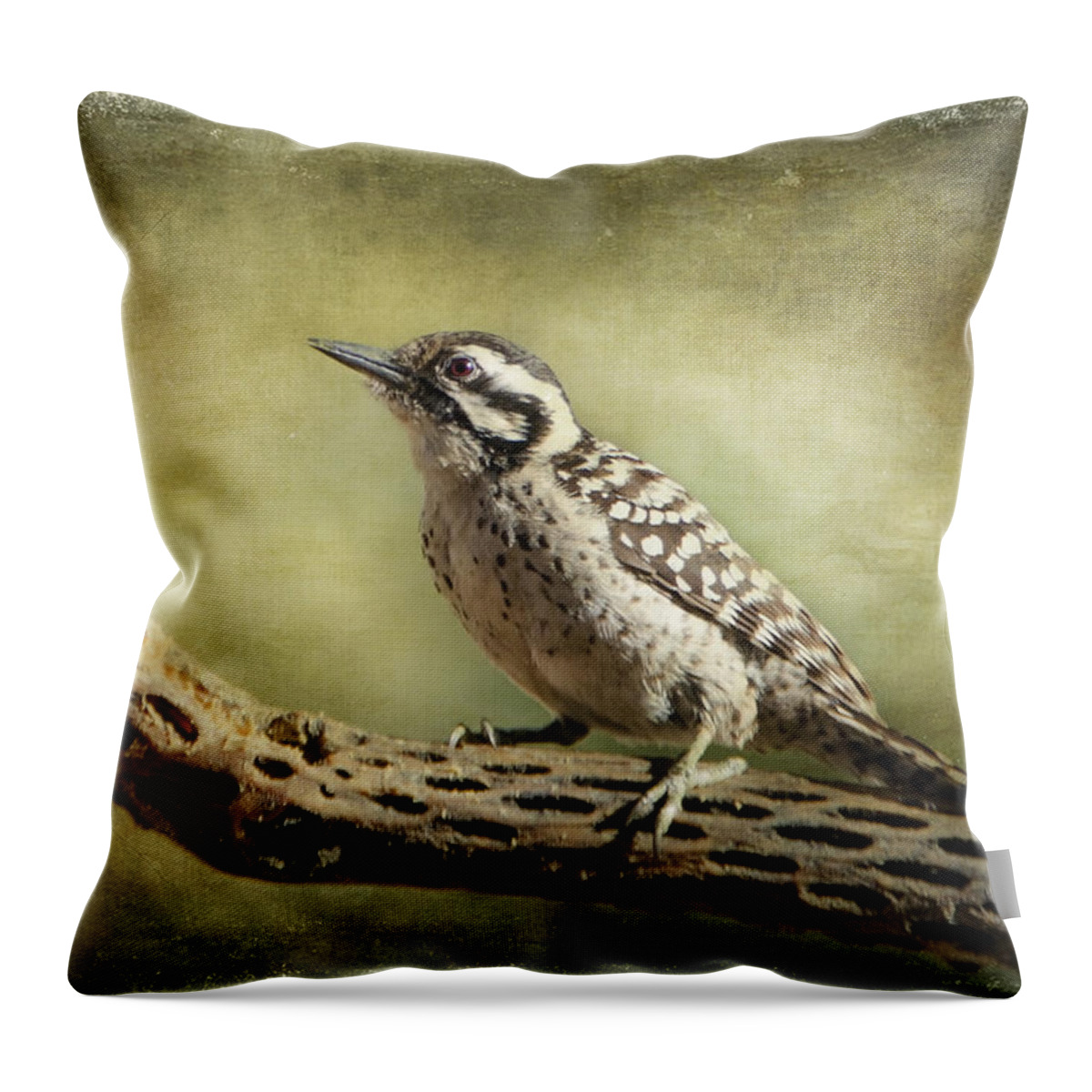 Ladder-backed Woodpecker Throw Pillow featuring the photograph Ladder-backed Woodpecker by Barbara Manis