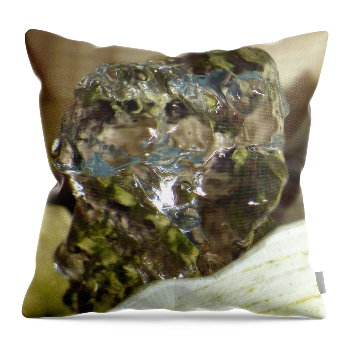 Abstracts Throw Pillow featuring the photograph Ladies Bathing by Amelia Racca
