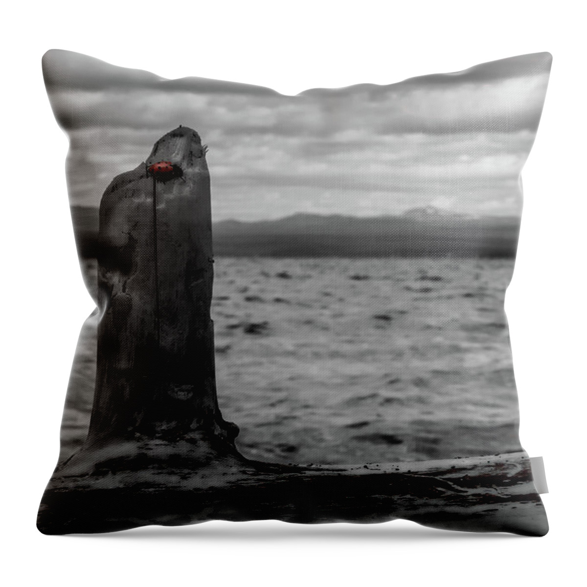 Lake Almanor Throw Pillow featuring the photograph Lady in Red by Marnie Patchett