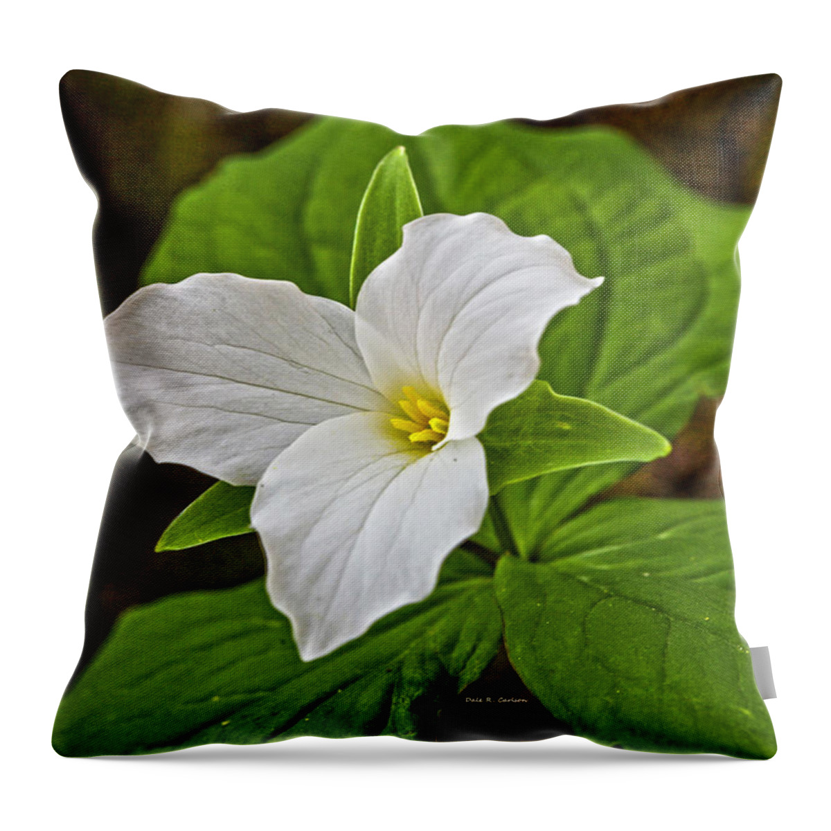 Trillium Throw Pillow featuring the photograph Lady in White by Dale R Carlson