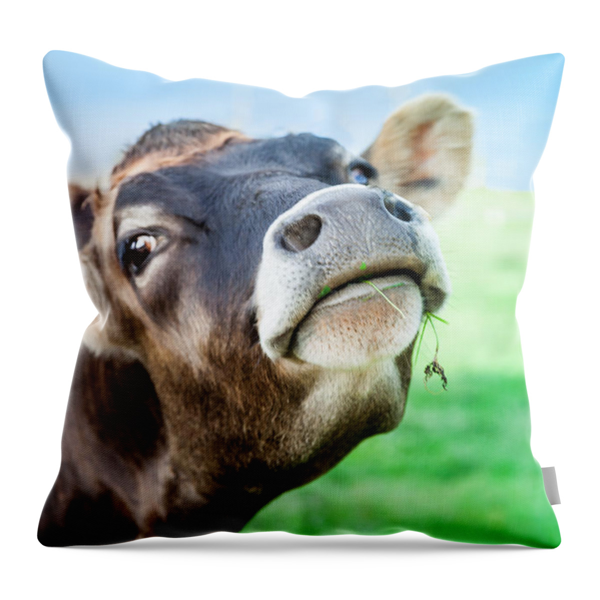 Bellingham Throw Pillow featuring the photograph Lady by Judy Wright Lott