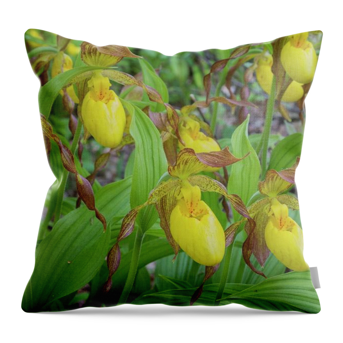 Door County Throw Pillow featuring the photograph Lady Slippers by Paul Schultz