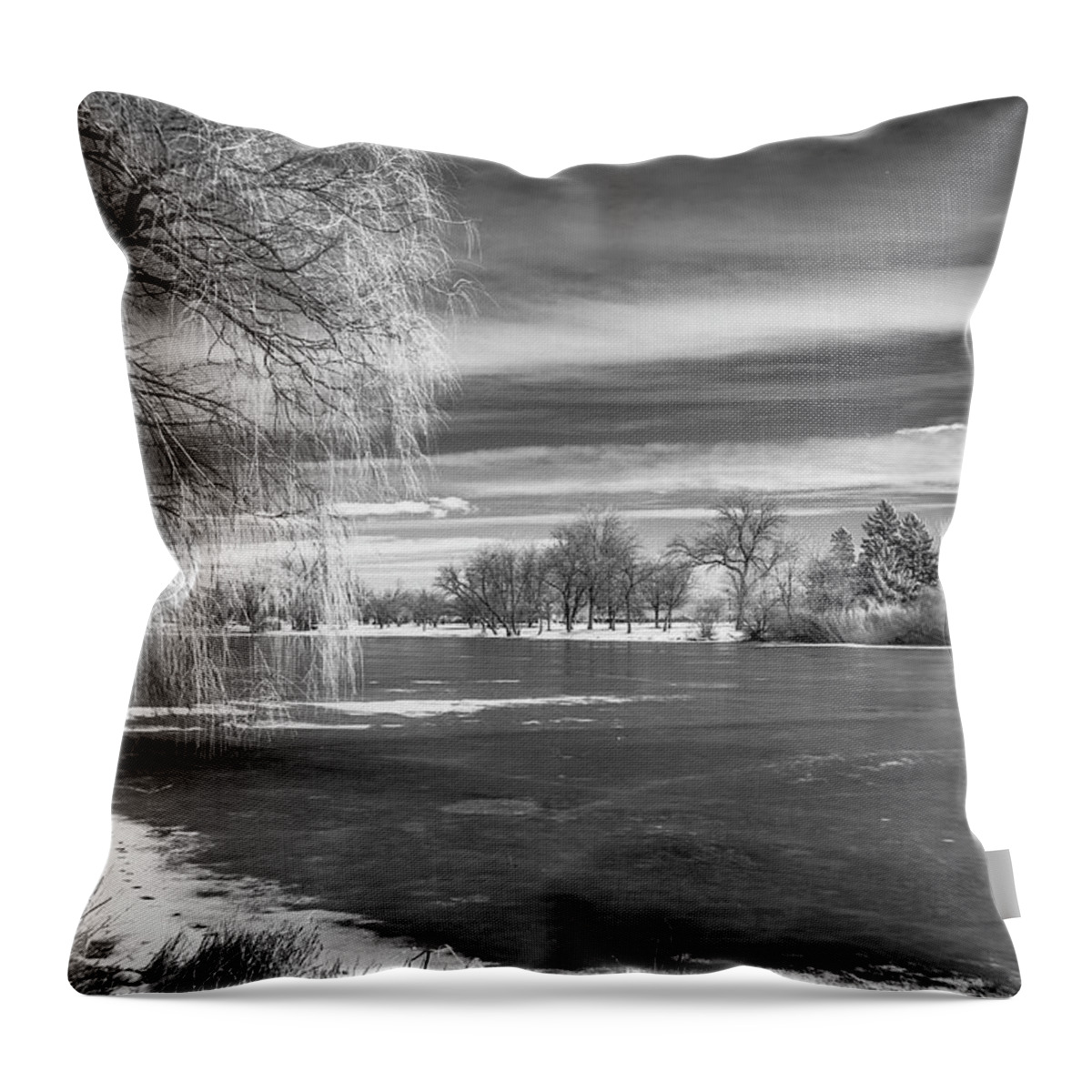 Monochrome Throw Pillow featuring the photograph Lagoon #3 by John Roach