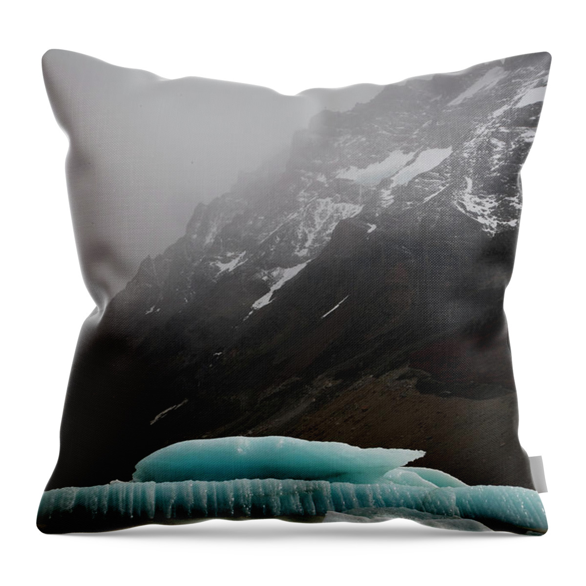 Landscape Throw Pillow featuring the photograph Laguna Torre by Ryan Weddle