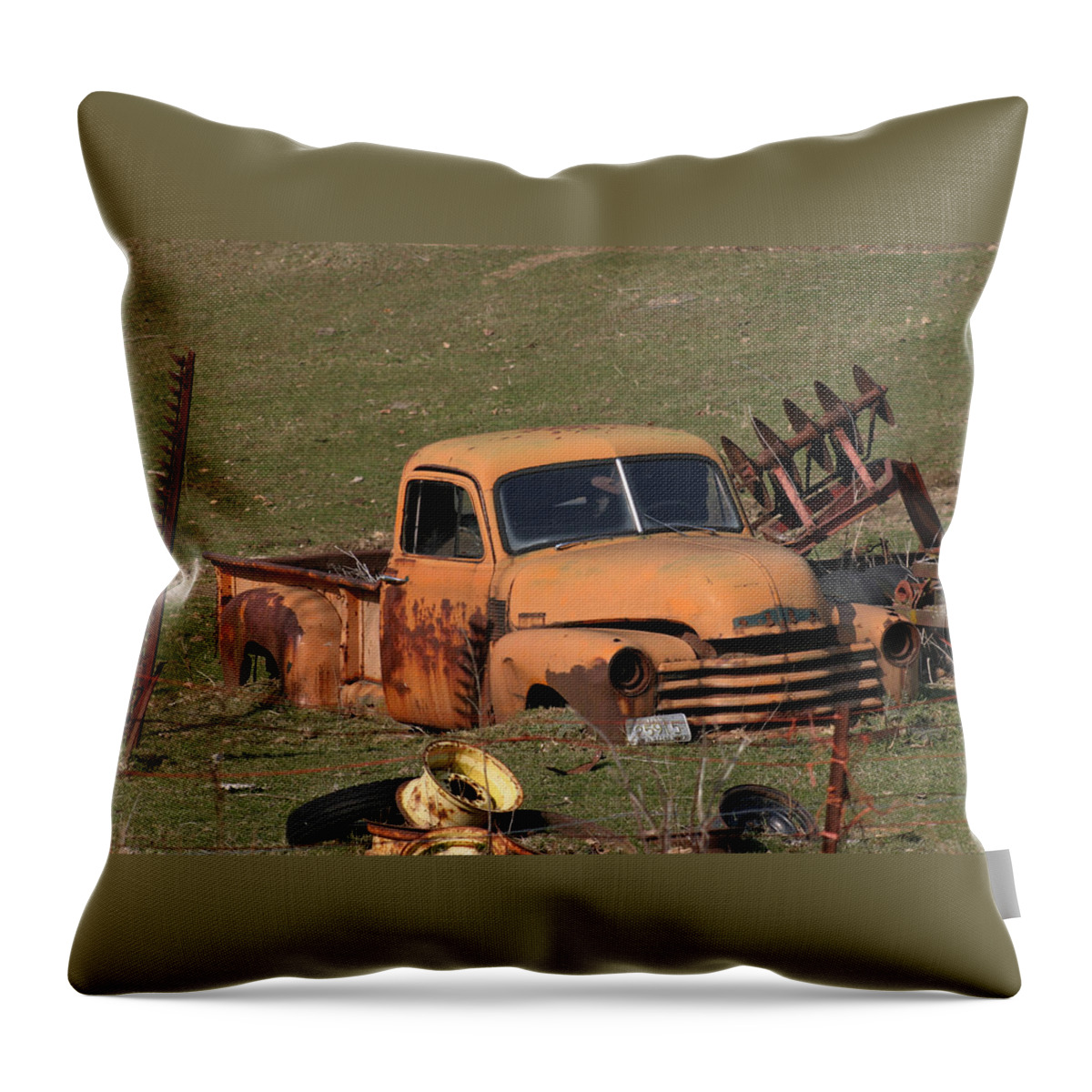 Americana Throw Pillow featuring the photograph Laid to rest by Bjorn Sjogren