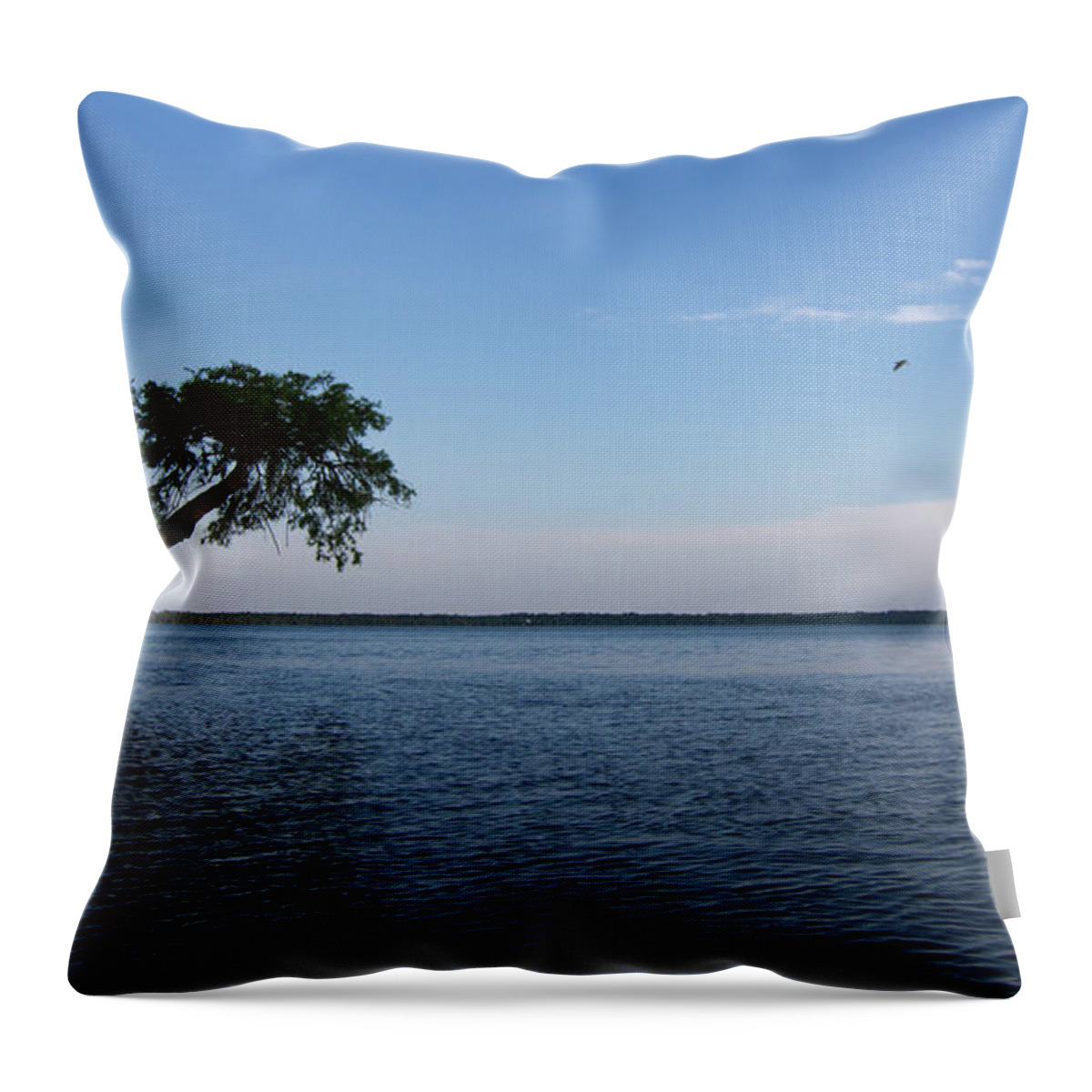 Lake Throw Pillow featuring the photograph Lake Disston Cypress #2 by Paul Rebmann