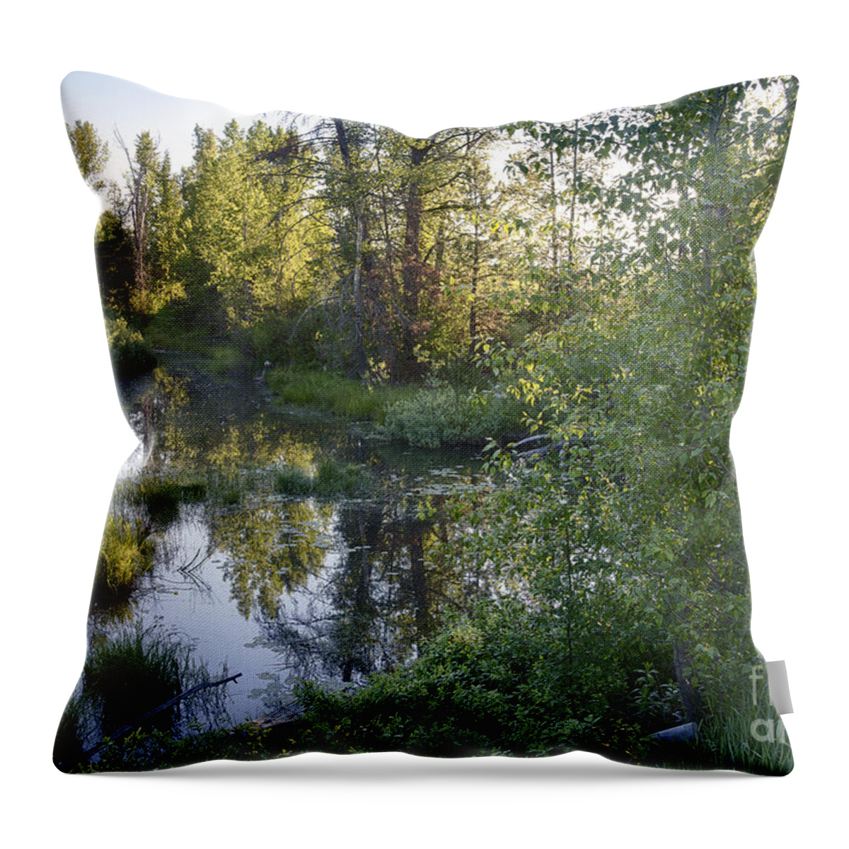 Idaho Throw Pillow featuring the photograph Lake Fork Creek by Idaho Scenic Images Linda Lantzy