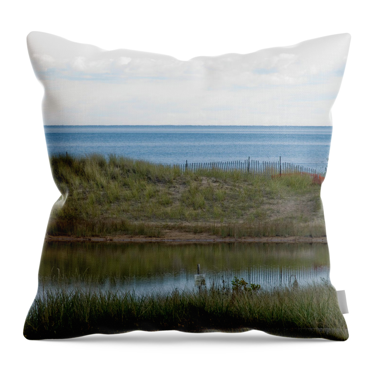 Lake Throw Pillow featuring the photograph Lake Huron by Tara Lynn