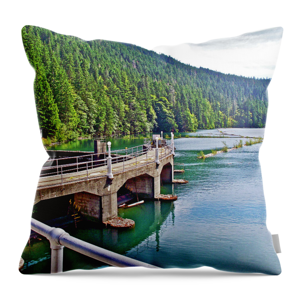 Lake Mills From Elwha River Dam Throw Pillow featuring the photograph Lake Mills from Elwha River Dam, Olympic National Park, Washington by Ruth Hager