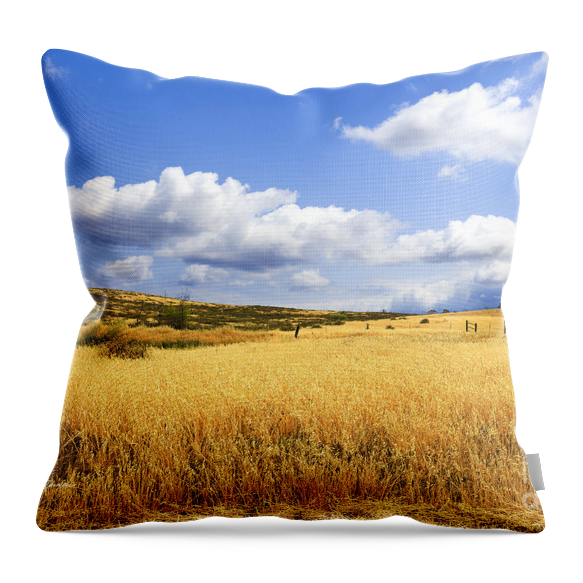 Lake Skinner Throw Pillow featuring the photograph Lake Skinner Regional Park Open-Space District by Richard J Thompson 