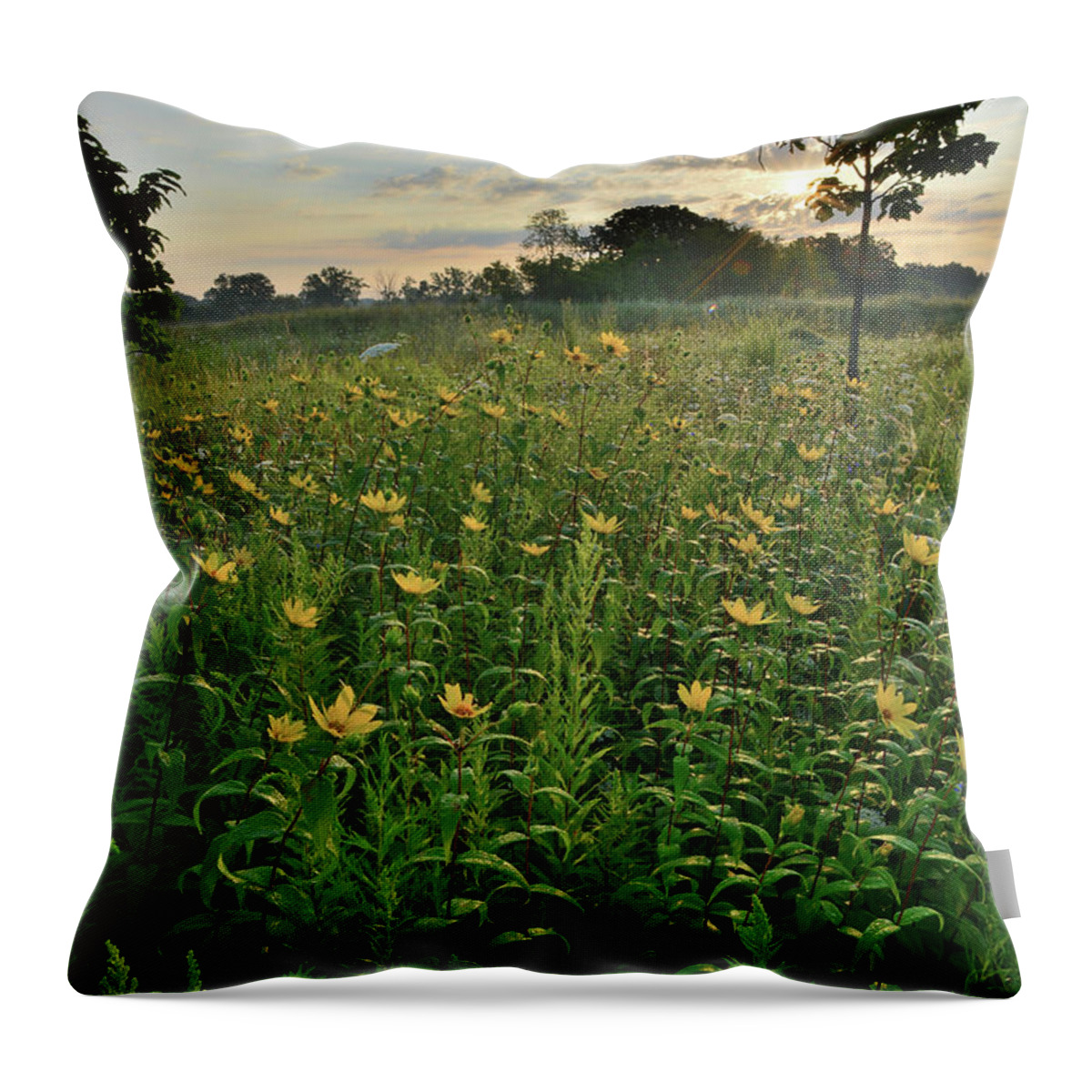 Lake County Throw Pillow featuring the photograph Lakewood Prairie Sunrise by Ray Mathis
