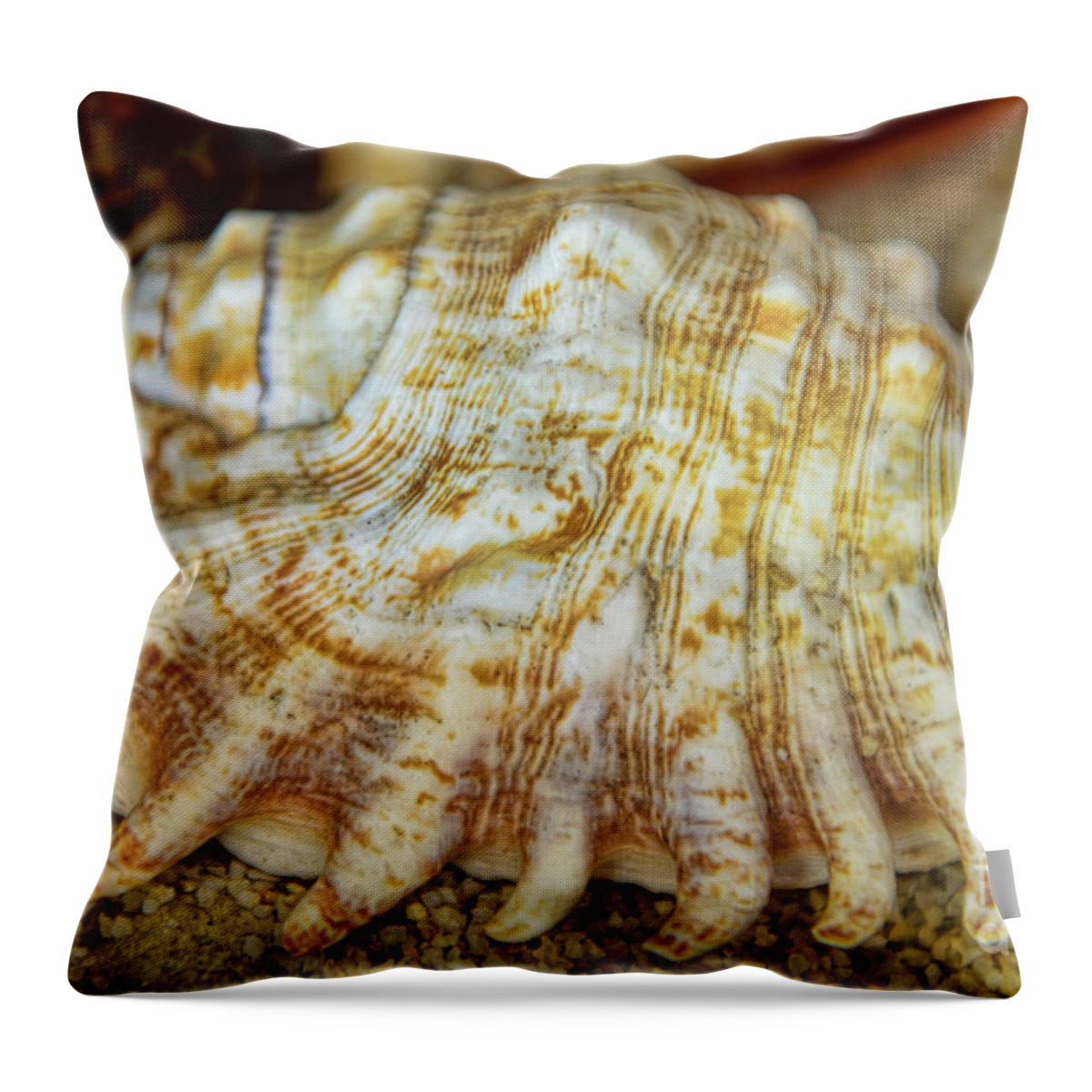 Lambis Seashell Throw Pillow featuring the photograph Lambis Seashell by Olga Hamilton