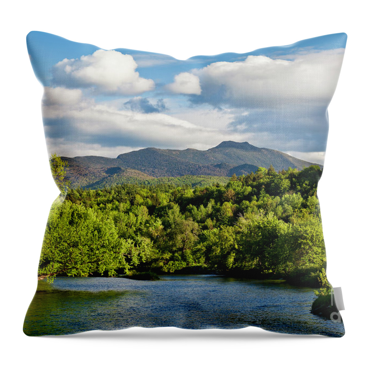 Spring Throw Pillow featuring the photograph Lamoille River Spring View by Alan L Graham