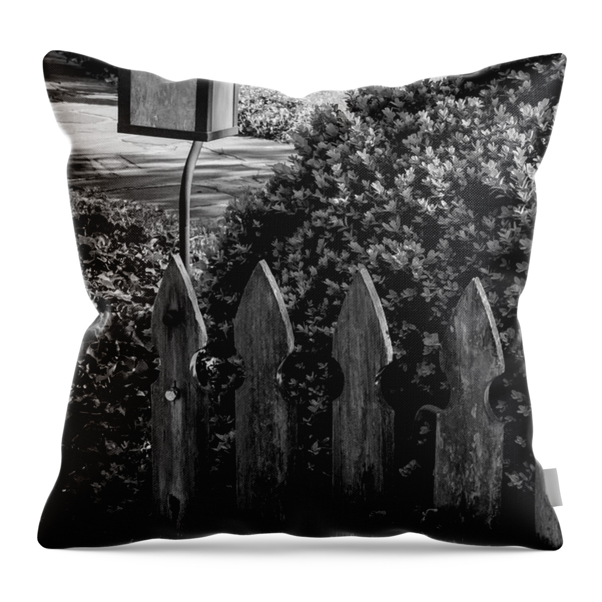 Roanoke Throw Pillow featuring the photograph Lamp and Gate 2 by Bob Phillips