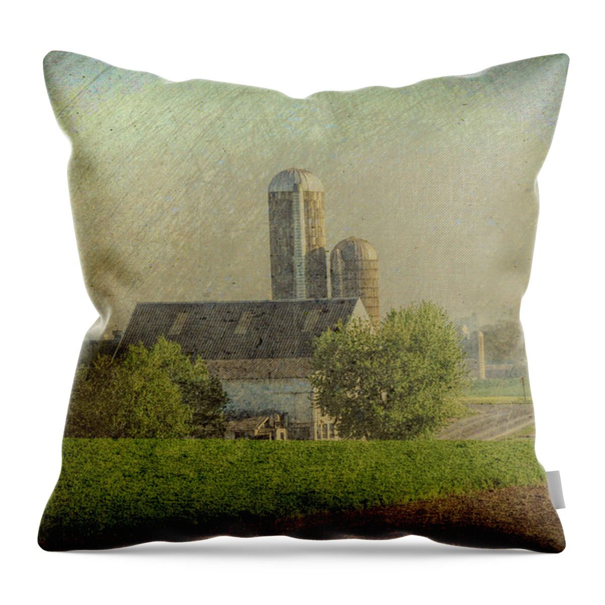 Farm Throw Pillow featuring the photograph Lancaster Pennsylvania Farm by Dyle Warren