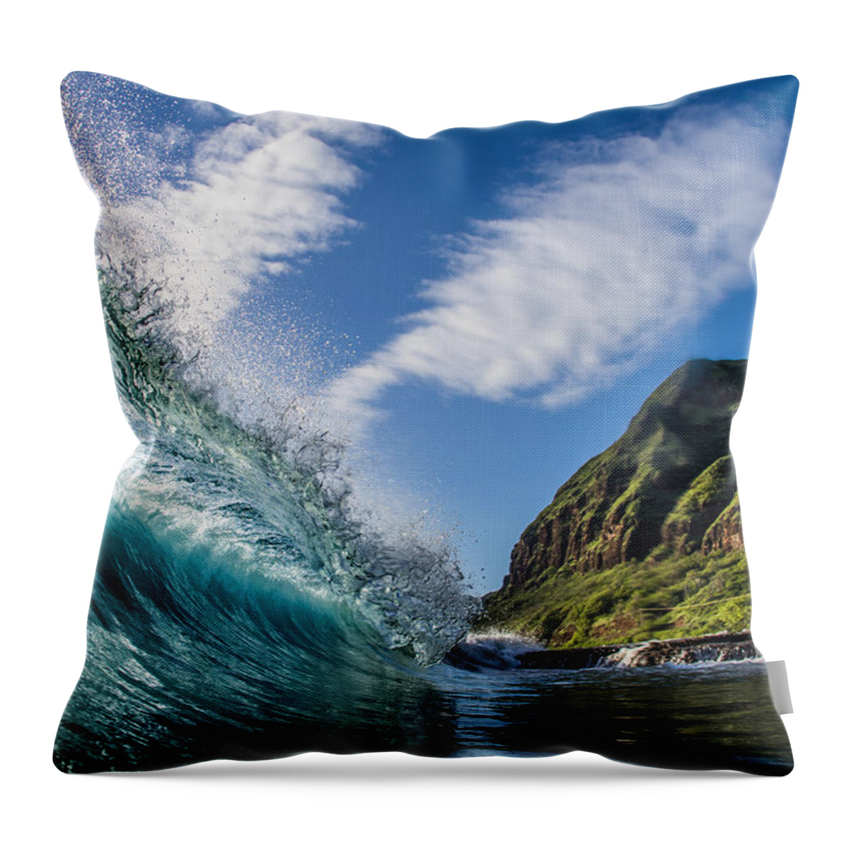  Throw Pillow featuring the photograph Land and Sea by Micah Roemmling