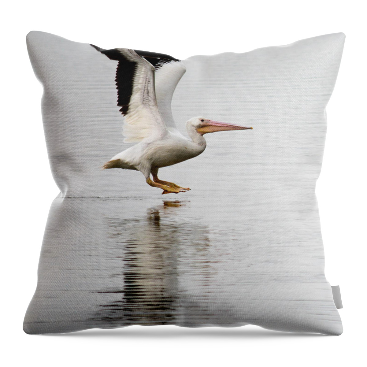 Pelican Throw Pillow featuring the photograph Landing by Barry Bohn