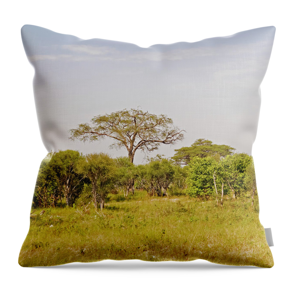 Botswana Throw Pillow featuring the photograph Landscape in Botswana by Marek Poplawski
