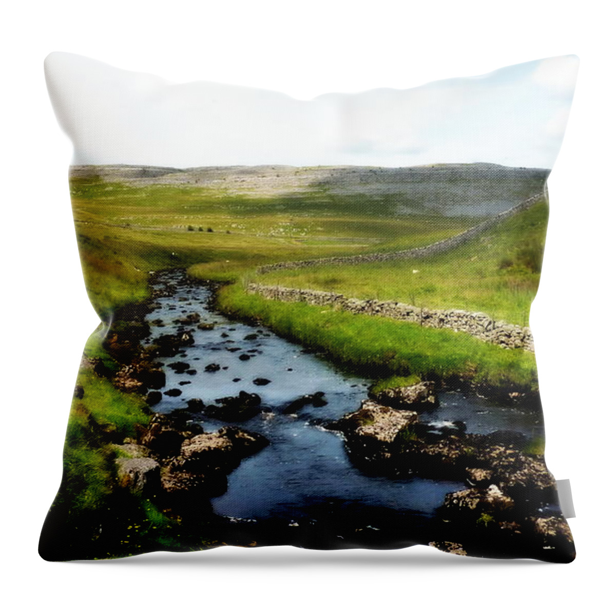 River Throw Pillow featuring the photograph Landscape by Lukasz Ryszka