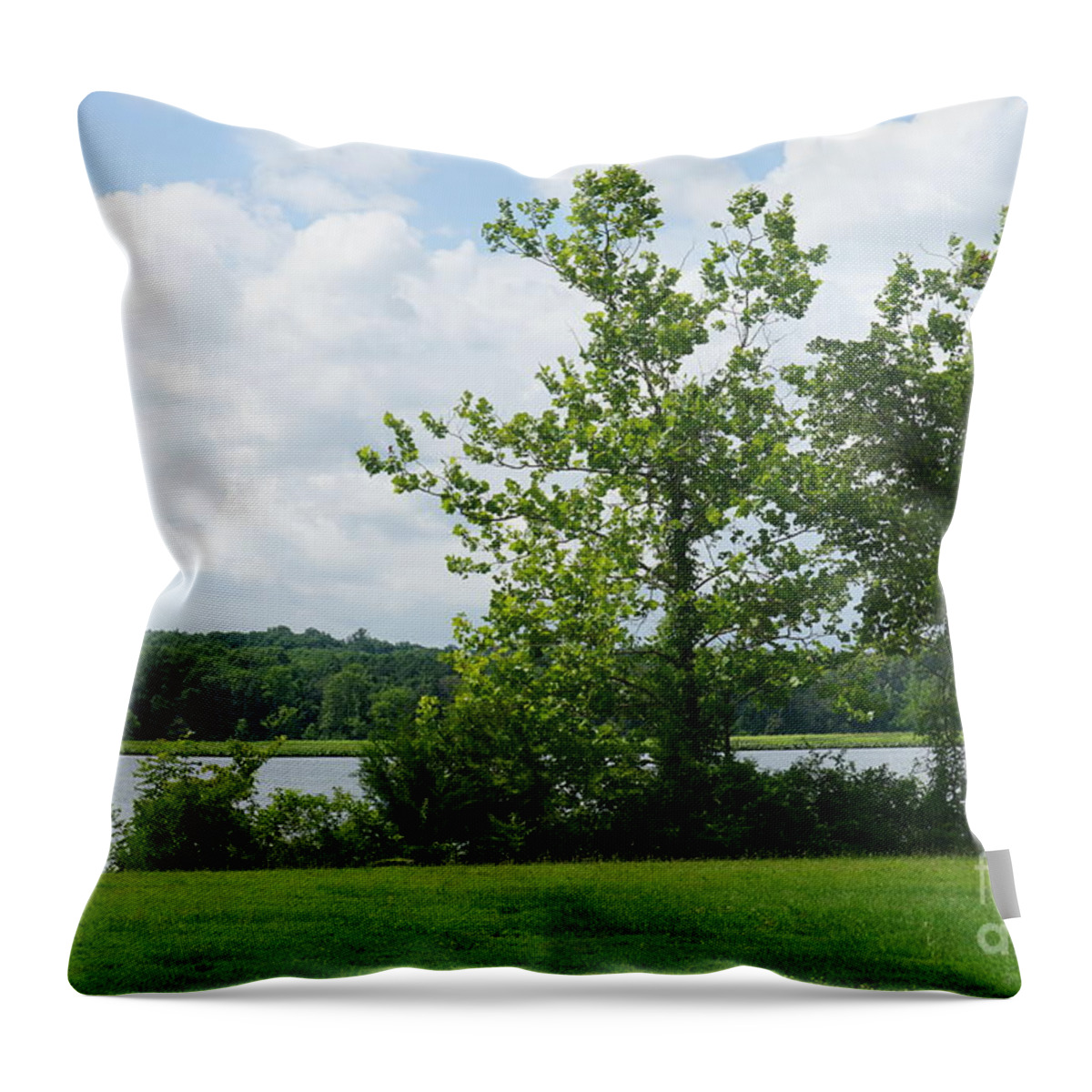  Lake Throw Pillow featuring the photograph Landscape Photo II by Jimmy Clark