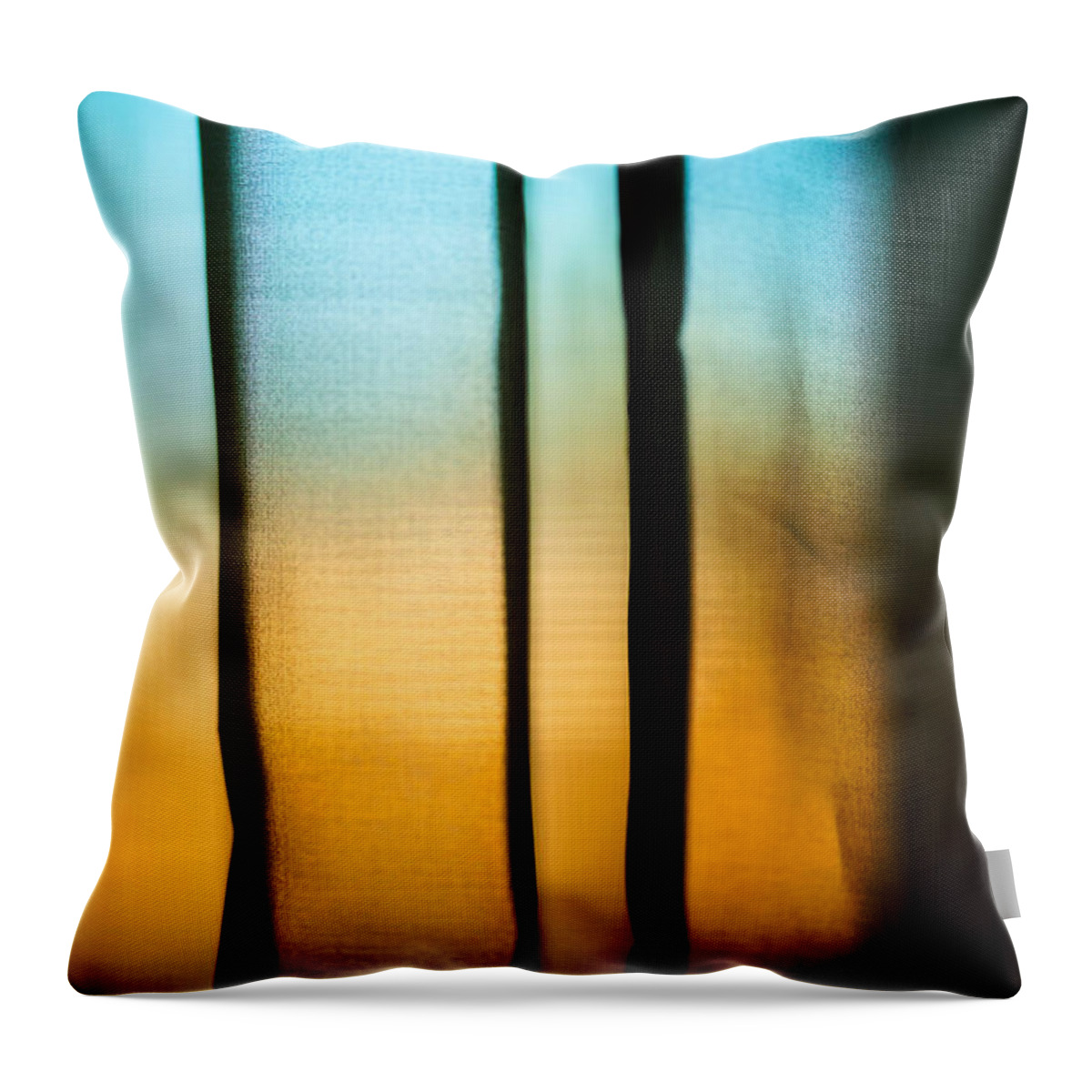 Cloud Throw Pillow featuring the photograph Landscape Shades by Nilesh Bhange
