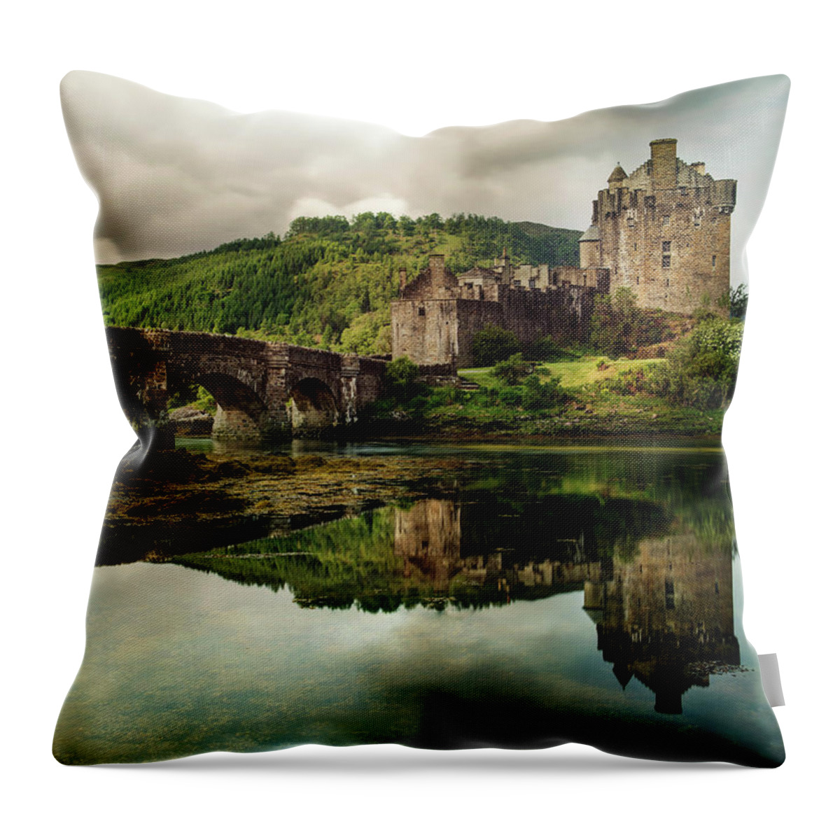 Landscape Throw Pillow featuring the photograph Landscape with an old castle by Jaroslaw Blaminsky