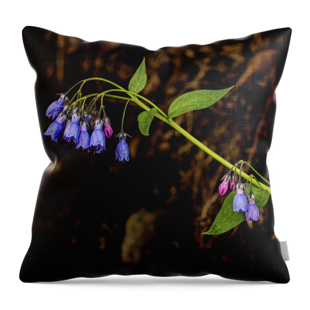 Wildflower Throw Pillow featuring the photograph Languid Lady by Fred Denner