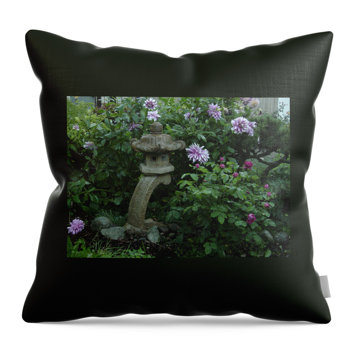 Purple Throw Pillow featuring the photograph Lantern with Dahlia by Shirley Heyn