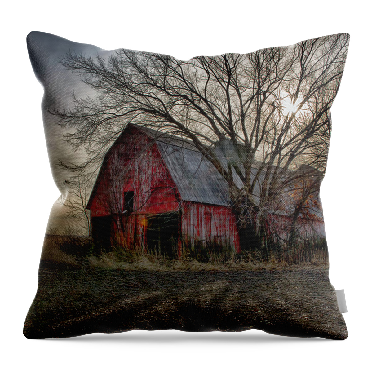 Barn Throw Pillow featuring the photograph Large Old Barn in Missouri by Donna Caplinger
