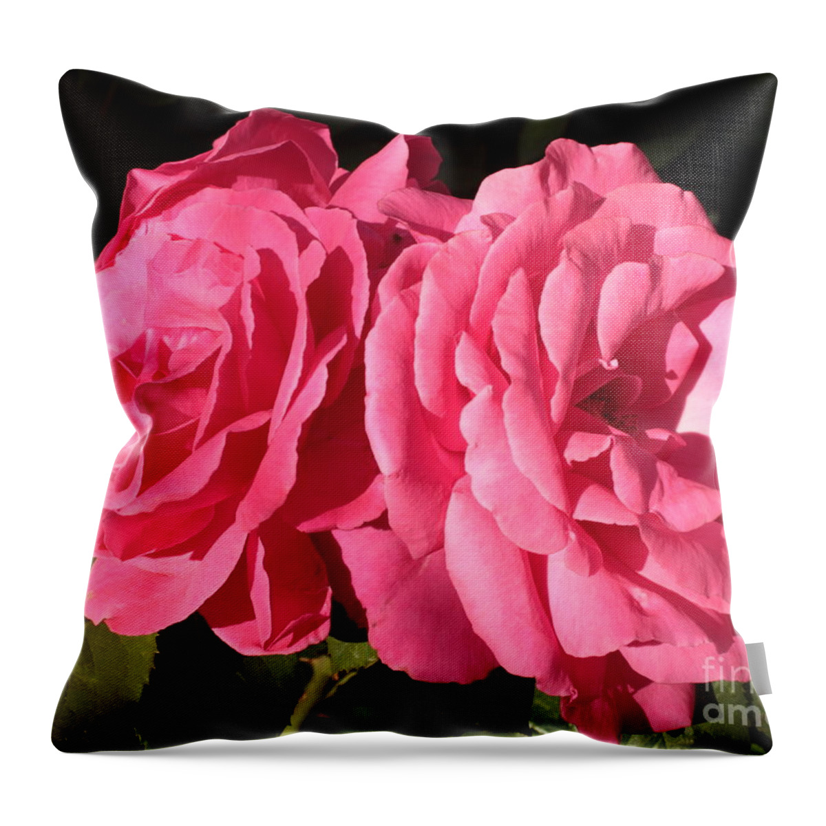 Large Pink Roses Throw Pillow featuring the photograph Large Pink Roses by Carol Groenen