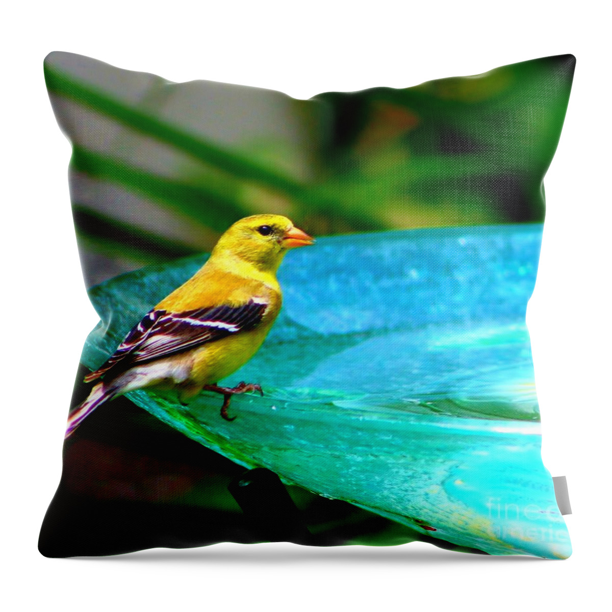 Bird Throw Pillow featuring the photograph Last Call by Barbara S Nickerson