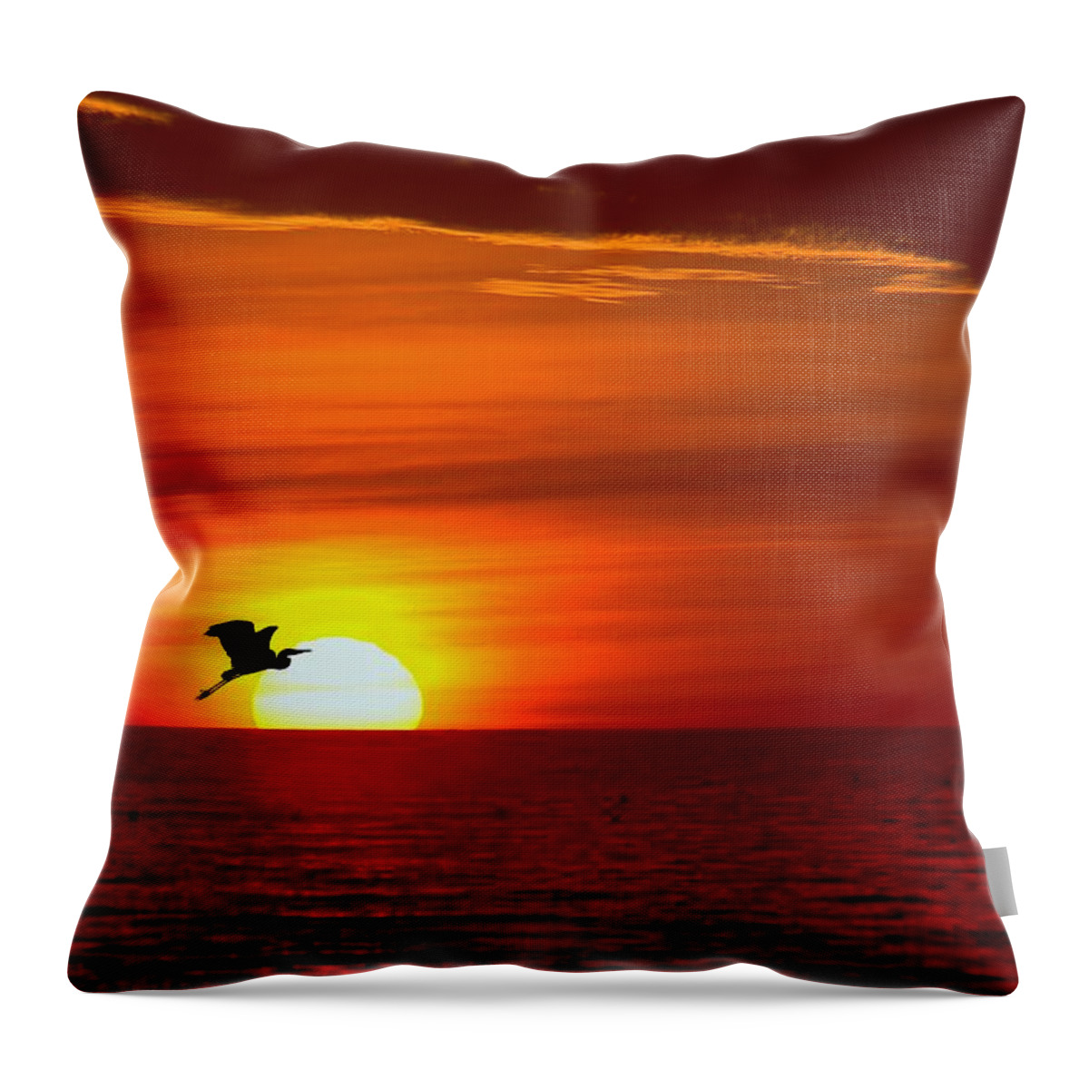 Sun Throw Pillow featuring the photograph Last Call by John Absher