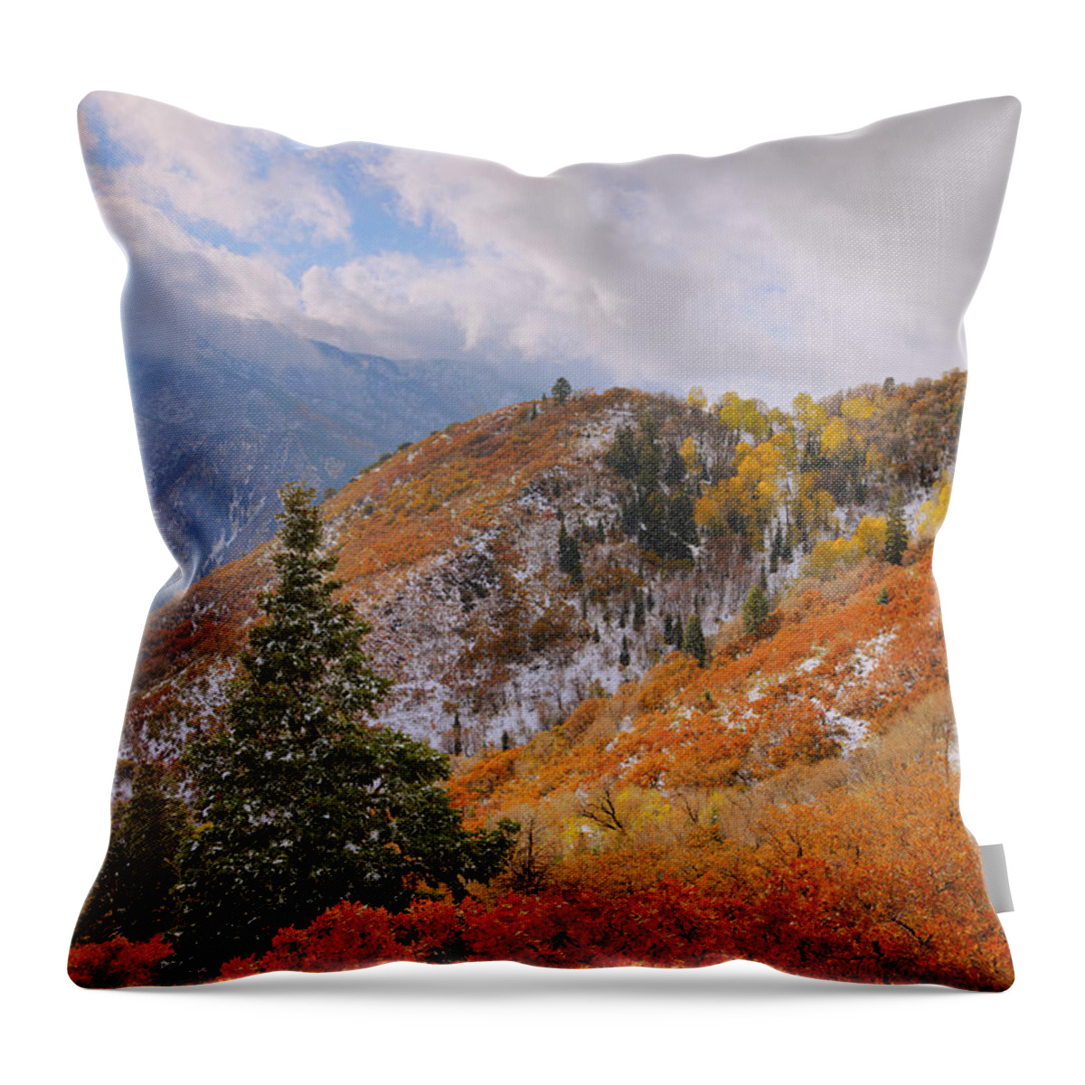 Forest Throw Pillow featuring the photograph Last Fall by Chad Dutson