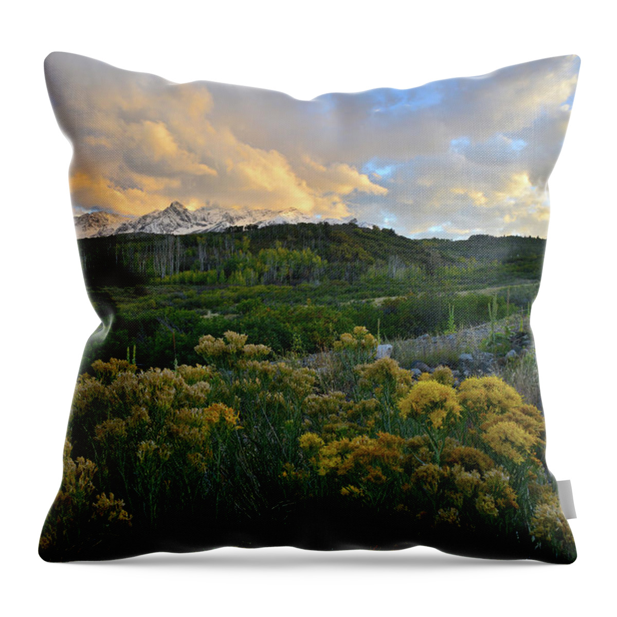 Colorado Throw Pillow featuring the photograph Last Light on San Juans from Dallas Divide by Ray Mathis