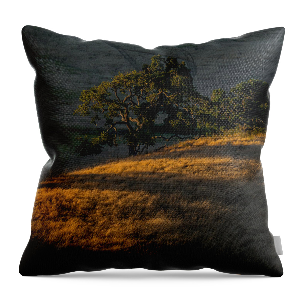 Hillside Throw Pillow featuring the photograph Last Light on the Hillside by Derek Dean