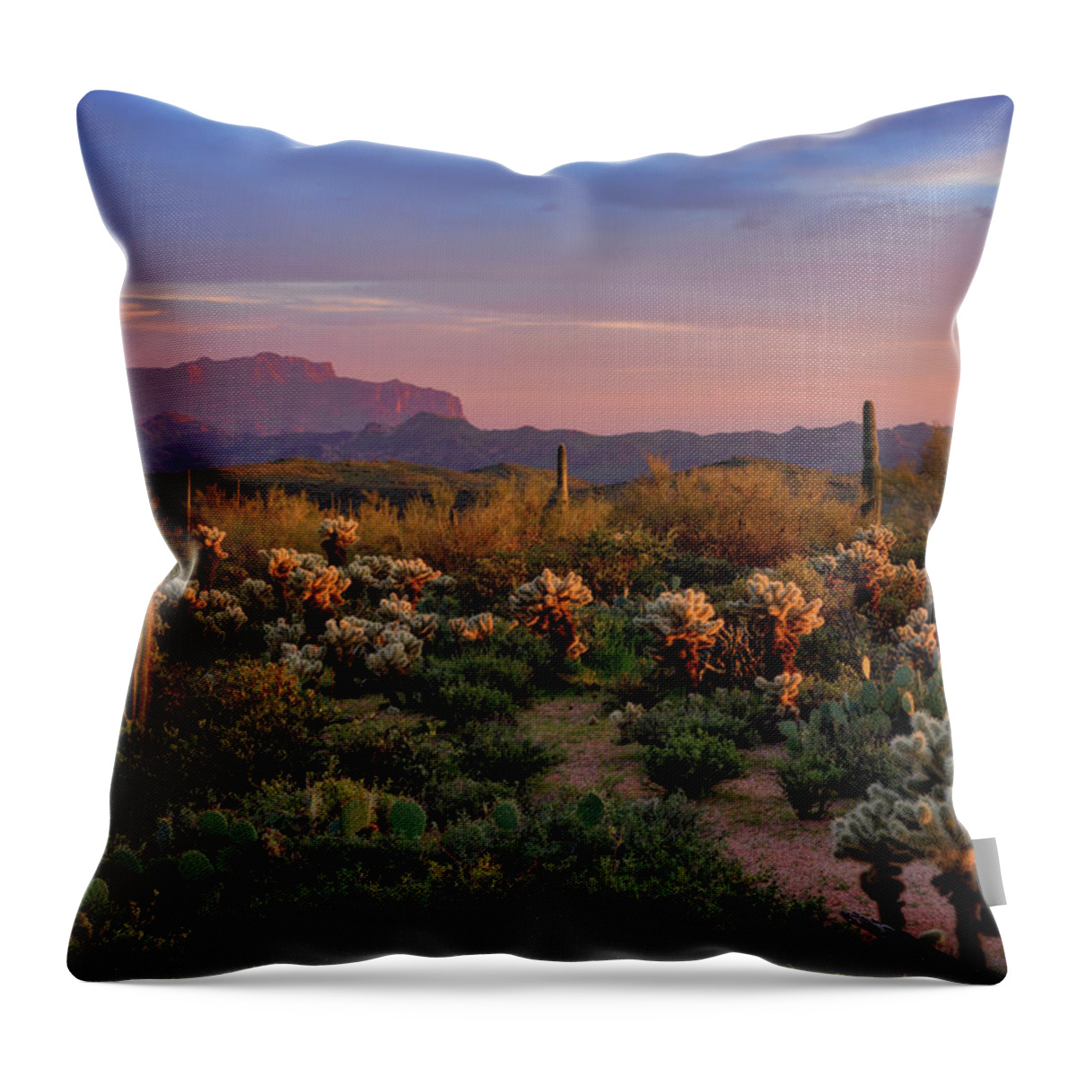 Saguaro Sunset Throw Pillow featuring the photograph Last Light on the Sonoran by Saija Lehtonen