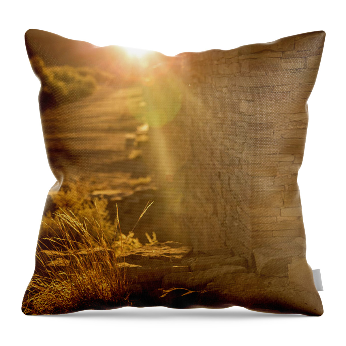 Chaco Canyon Throw Pillow featuring the photograph Last rays at Pueblo Bonito by Kunal Mehra