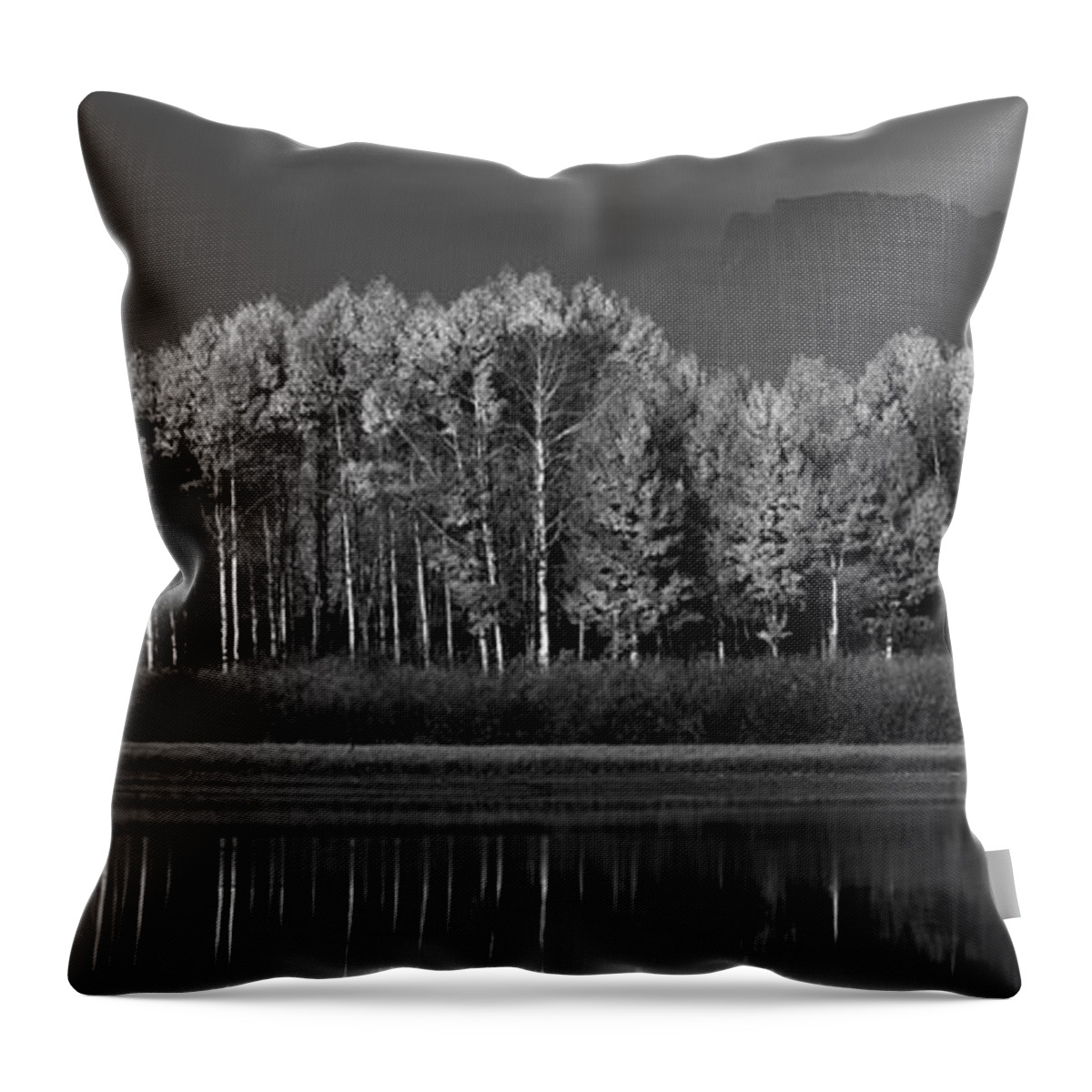 Aspen Throw Pillow featuring the photograph Last Sentinels Greyscale Pano by David Andersen
