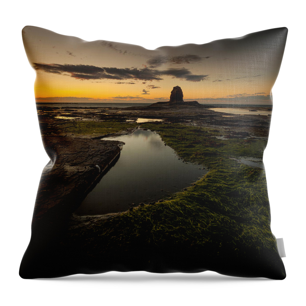 Landscape Throw Pillow featuring the photograph Last Shot of the Day by Mark Heslington