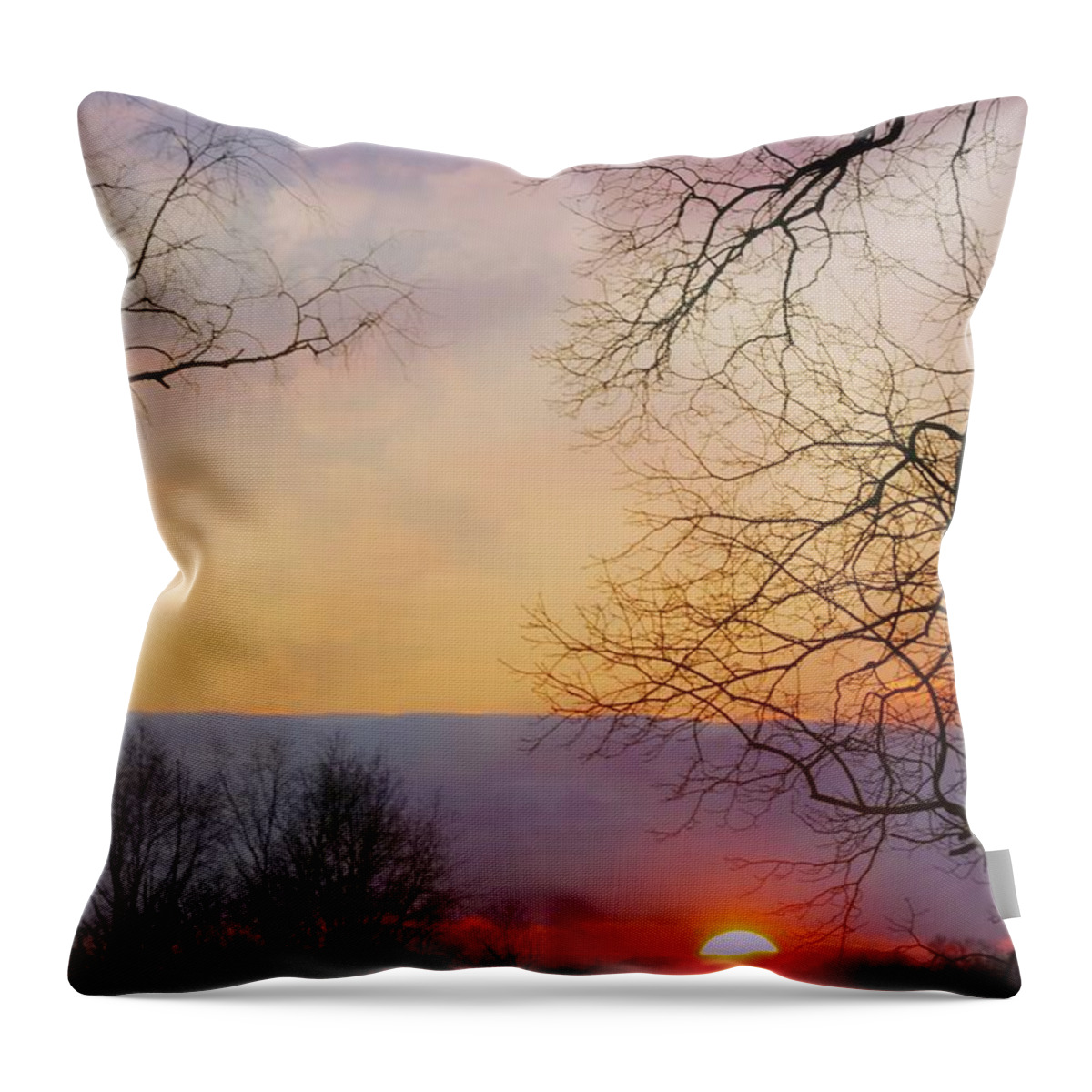 Landscape Throw Pillow featuring the photograph Last Sunset of the Year by Diana Angstadt