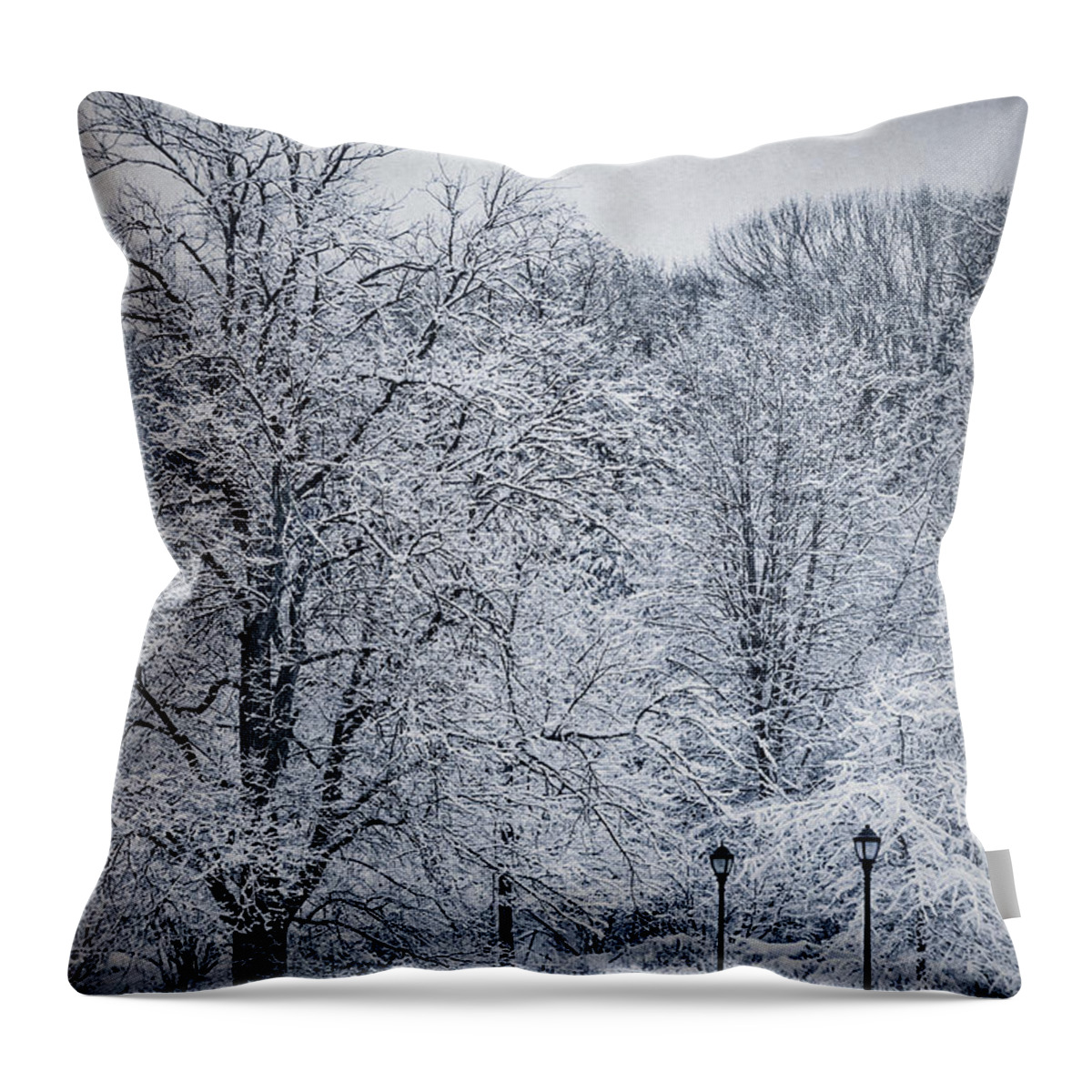 Kremsdorf Throw Pillow featuring the photograph Last Winter's Dream by Evelina Kremsdorf