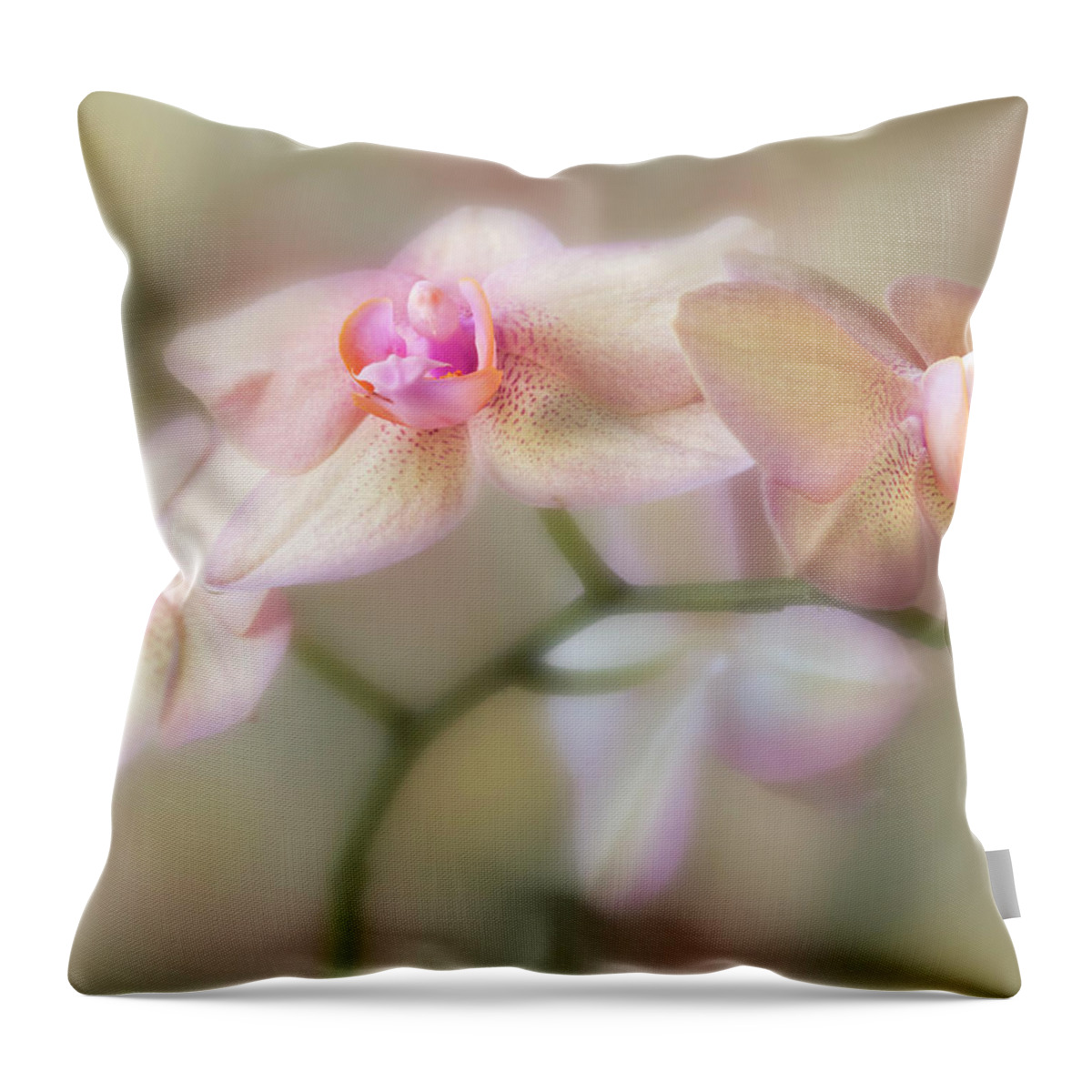 Flower Throw Pillow featuring the photograph Lasting forever. by Usha Peddamatham