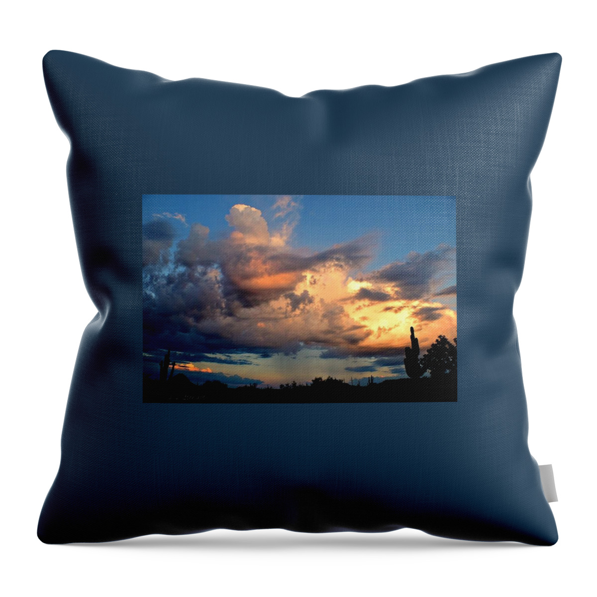 Arizona Throw Pillow featuring the photograph Late Day Monsoon by L L Stewart