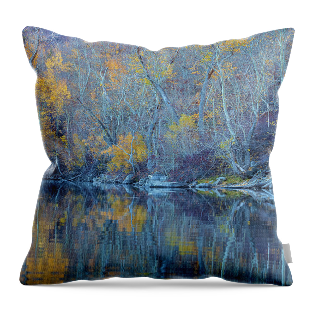 Fall Throw Pillow featuring the photograph Late Fall by Jonathan Nguyen