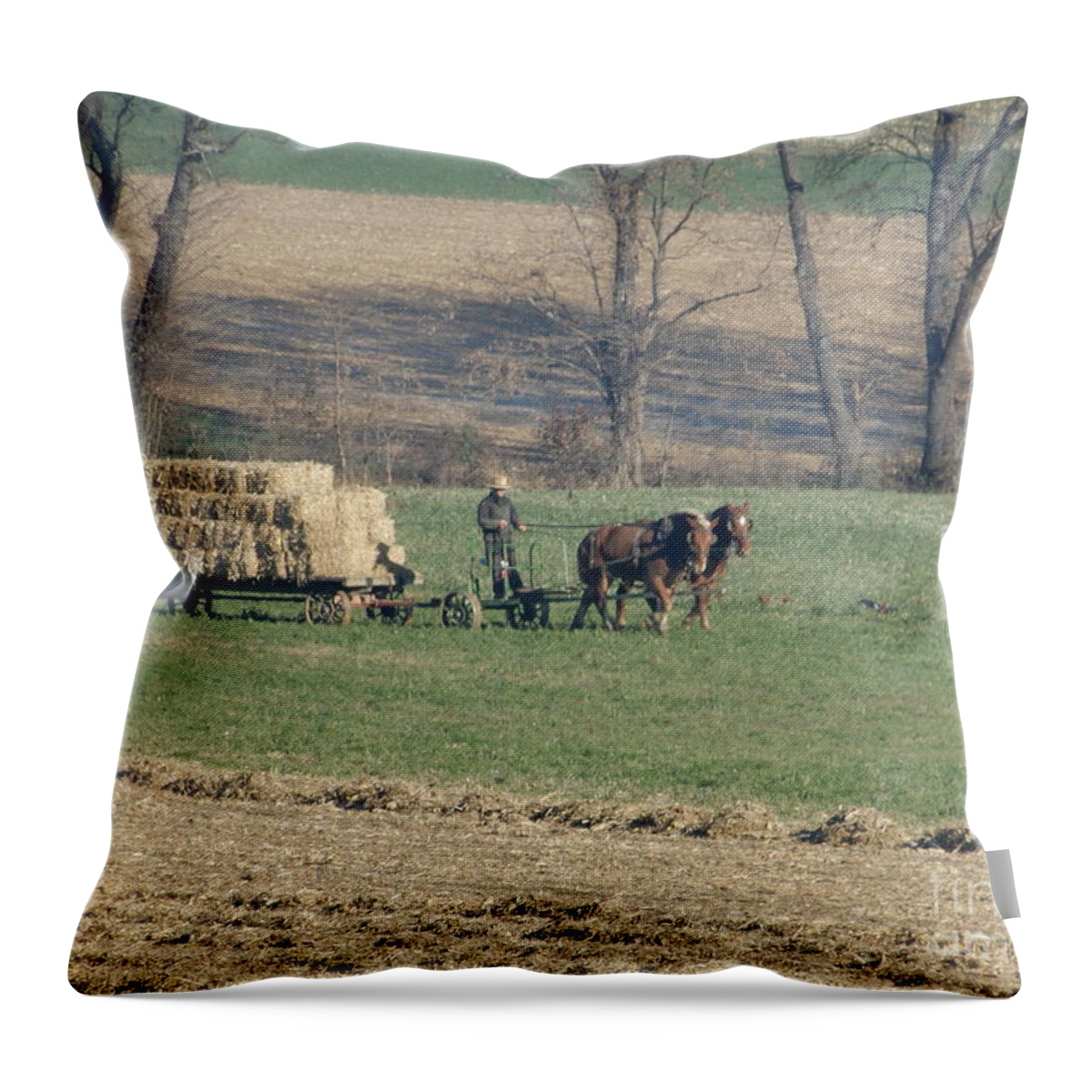 Amish Throw Pillow featuring the photograph Late Harvest Farming by Christine Clark