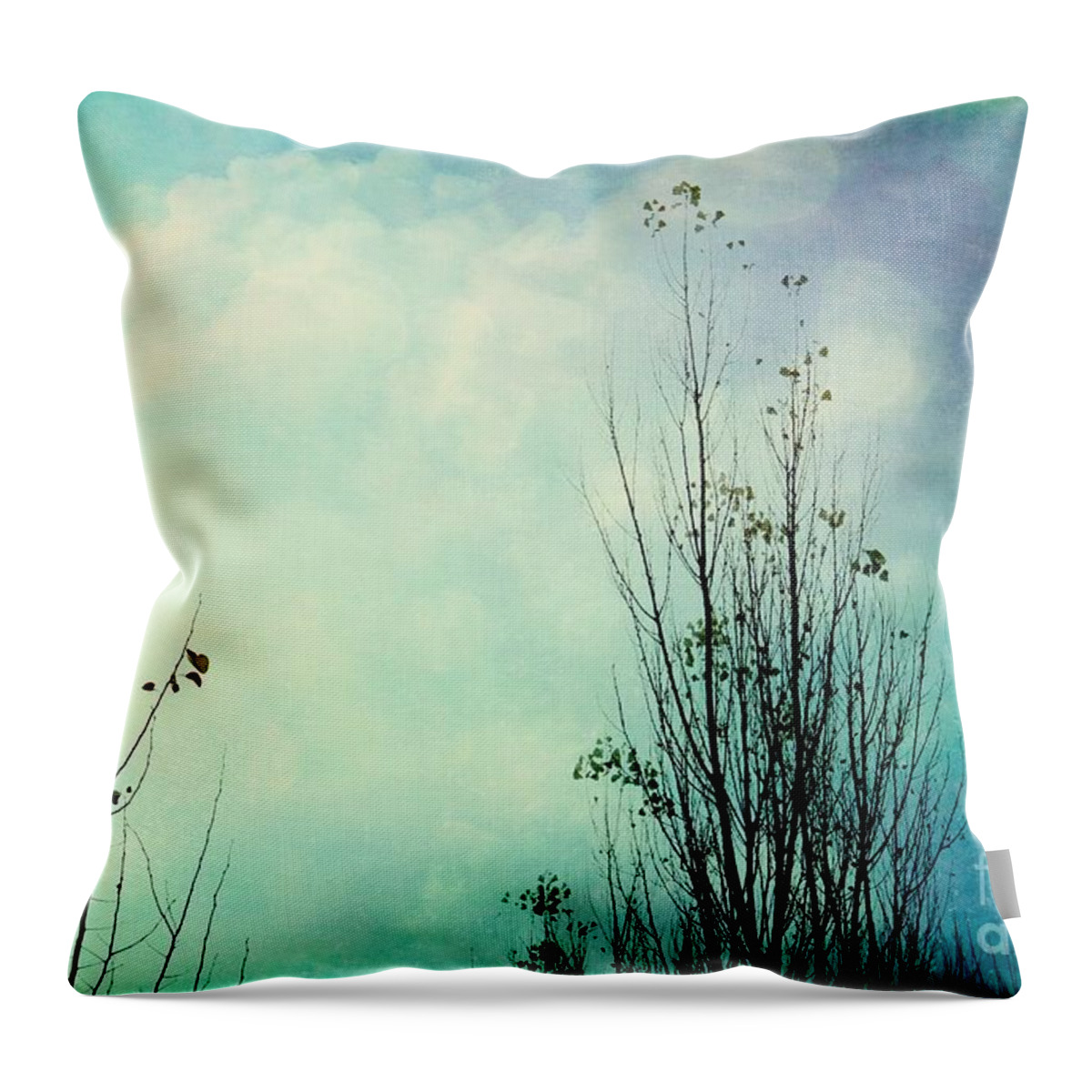 Tree Throw Pillow featuring the photograph Late October - 79-2bl1 by Variance Collections