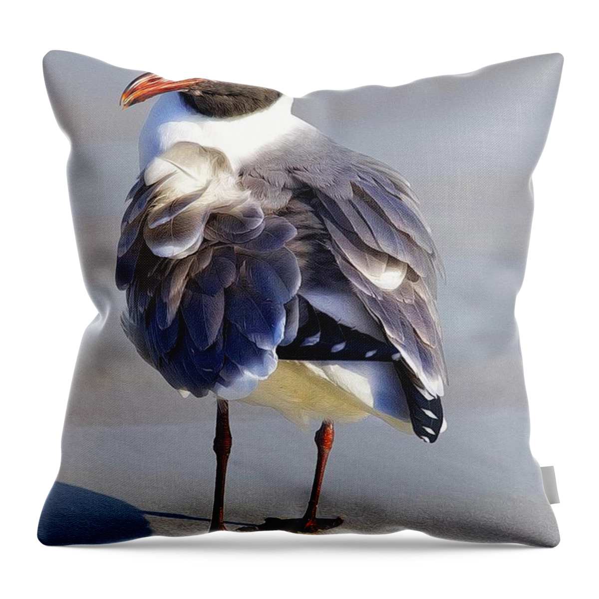 Alicegipsonphotographs Throw Pillow featuring the photograph Laughing Gull Rustled by Alice Gipson